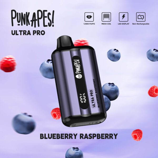 Punkapes Ultra Pro 12000 – Blueberry Raspberry