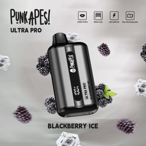 Punkapes Ultra Pro 12000 – Blackberry ice