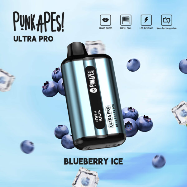Punkapes Ultra Pro 12000 – Blueberry ice